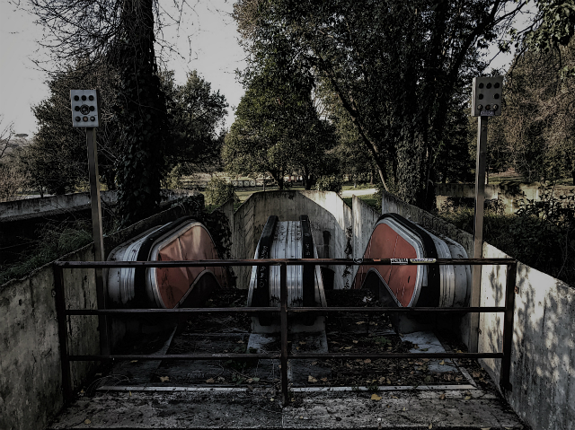 d87AA3F81-30AA-4736-83B0-594029262C70 4.jpg